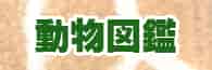 動物図鑑