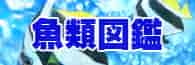 魚類図鑑